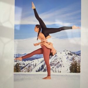 Alo Yoga High Waist Airlift Legging-Rosewood